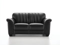 Sofás 2 plazas de cuero sintético 170x90x92 cm - negro - diseño clásico con respaldo acolchado para salón