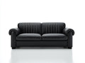 Sofá de 2 plazas tapizado en cuero 190x95x85 cm - Negro - Diseño clásico con reposabrazos redondeados